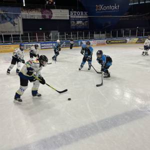 2025-11-22_u11_2_original