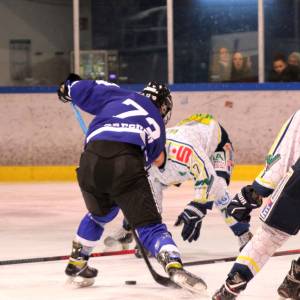 2026-02-08_rlo_29_original