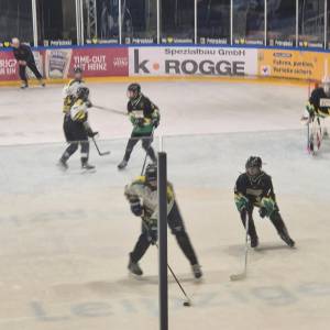 2026-02-17_u15_7_original